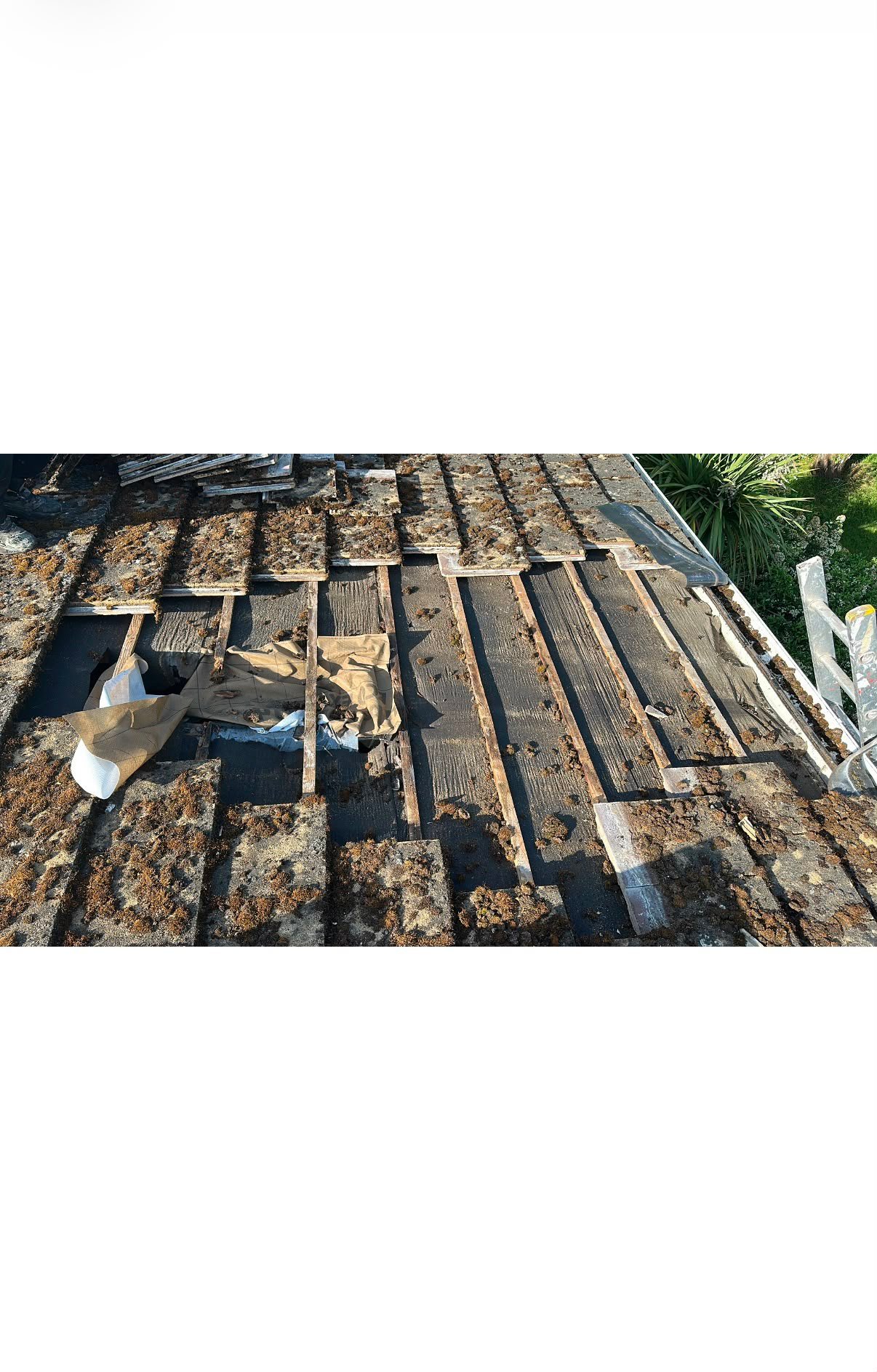 Roof area being inspected before repair work